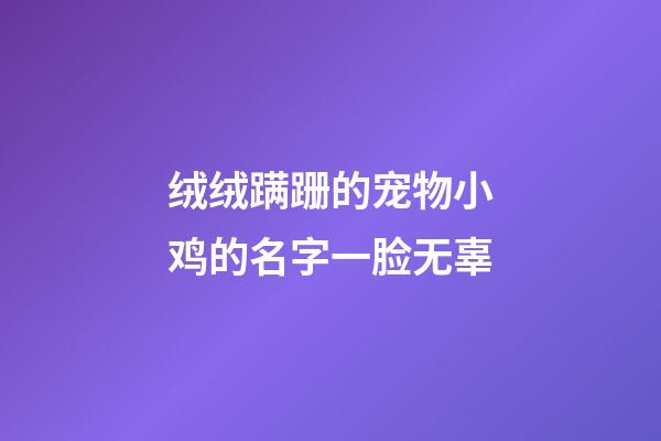 绒绒蹒跚的宠物小鸡的名字一脸无辜