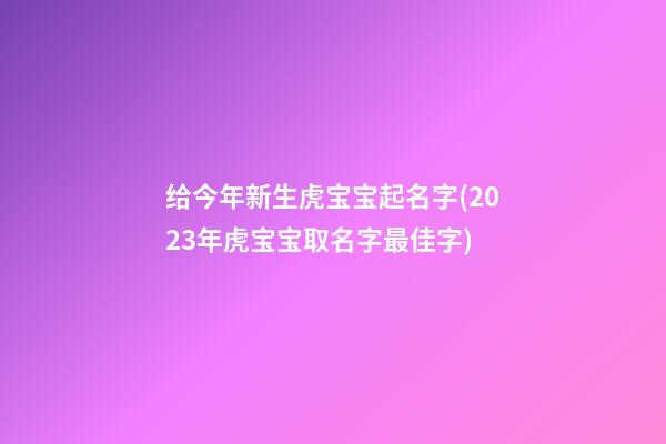 给今年新生虎宝宝起名字(2023年虎宝宝取名字最佳字)