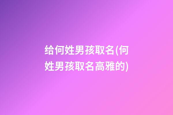给何姓男孩取名(何姓男孩取名高雅的)