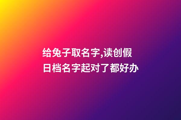 给兔子取名字,读创假日档名字起对了都好办-第1张-观点-玄机派