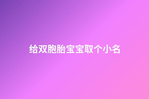 给双胞胎宝宝取个小名(给双胞胎宝宝起小名)-第1张-宝宝起名-玄机派