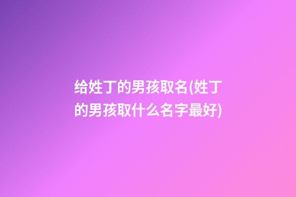 给姓丁的男孩取名(姓丁的男孩取什么名字最好)