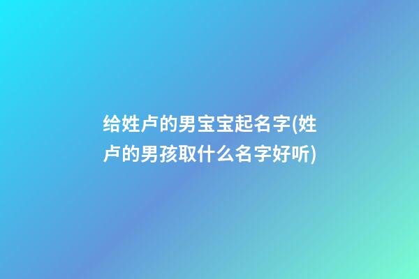 给姓卢的男宝宝起名字(姓卢的男孩取什么名字好听)