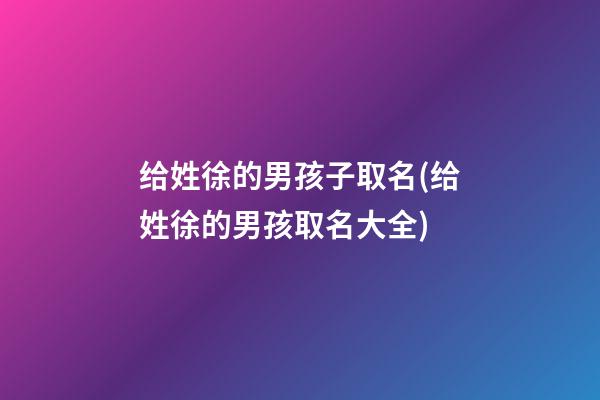 给姓徐的男孩子取名(给姓徐的男孩取名大全)