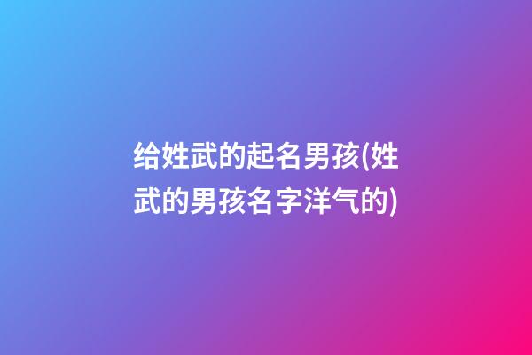 给姓武的起名男孩(姓武的男孩名字洋气的)