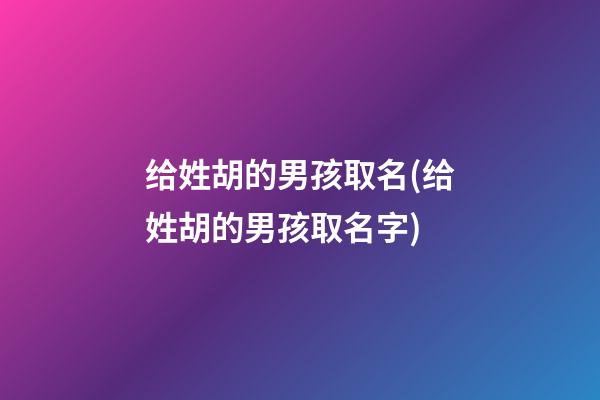 给姓胡的男孩取名(给姓胡的男孩取名字)