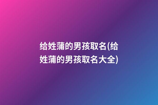 给姓蒲的男孩取名(给姓蒲的男孩取名大全)