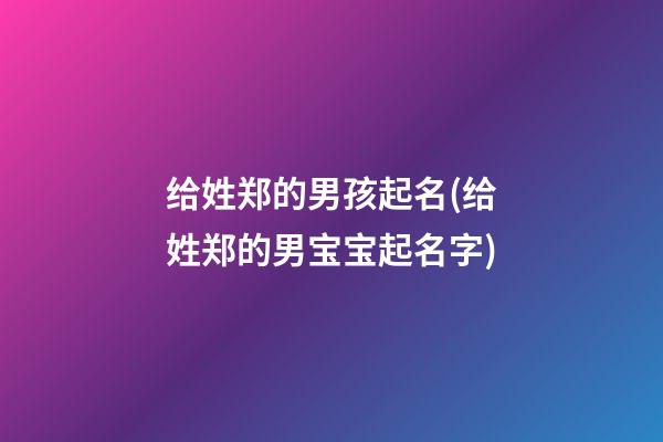 给姓郑的男孩起名(给姓郑的男宝宝起名字)