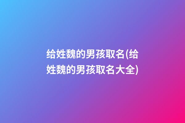 给姓魏的男孩取名(给姓魏的男孩取名大全)