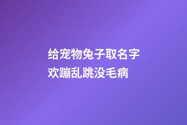 给宠物兔子取名字欢蹦乱跳没毛病