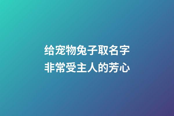给宠物兔子取名字非常受主人的芳心