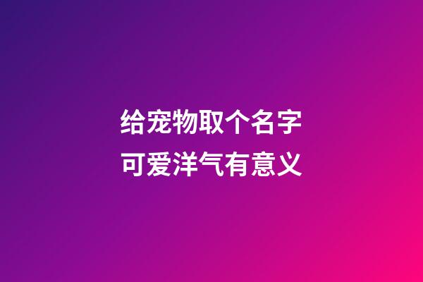 给宠物取个名字可爱洋气有意义