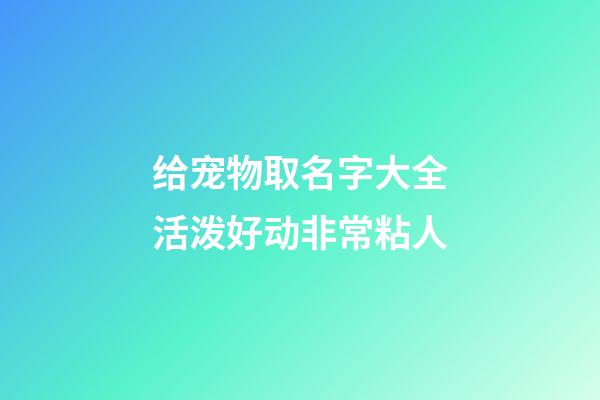 给宠物取名字大全活泼好动非常粘人
