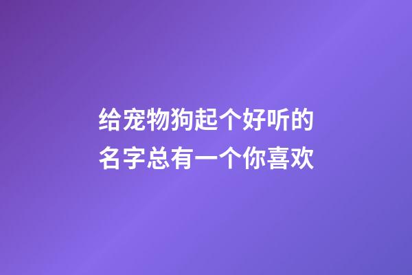 给宠物狗起个好听的名字总有一个你喜欢