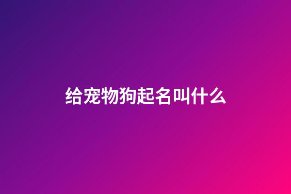 给宠物狗起名叫什么