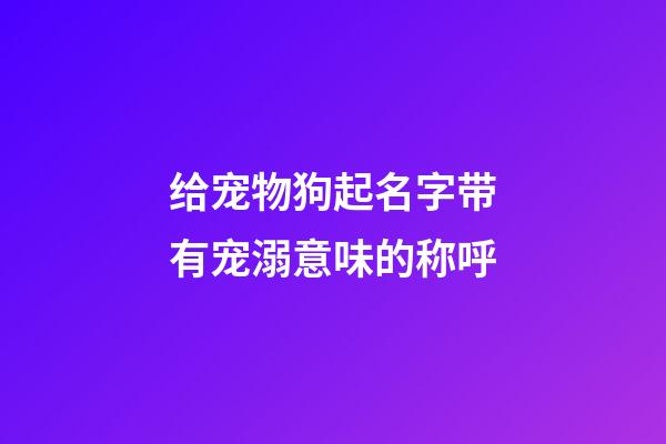 给宠物狗起名字带有宠溺意味的称呼