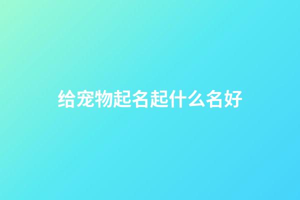 给宠物起名起什么名好