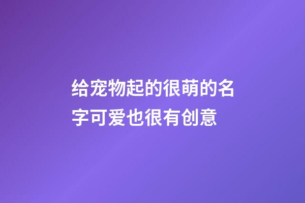 给宠物起的很萌的名字可爱也很有创意