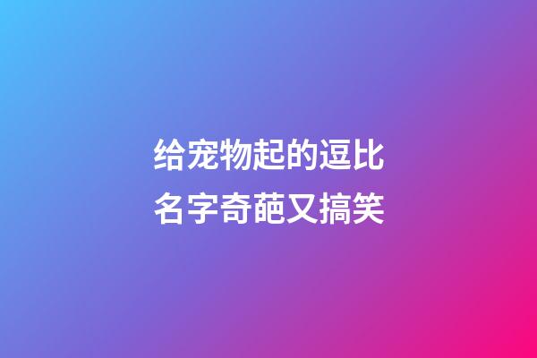 给宠物起的逗比名字奇葩又搞笑