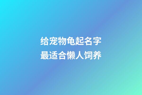 给宠物龟起名字最适合懒人饲养