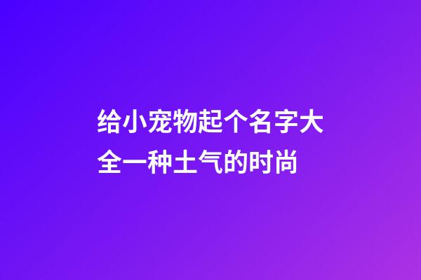 给小宠物起个名字大全一种土气的时尚