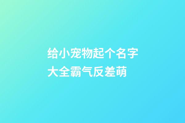 给小宠物起个名字大全霸气反差萌