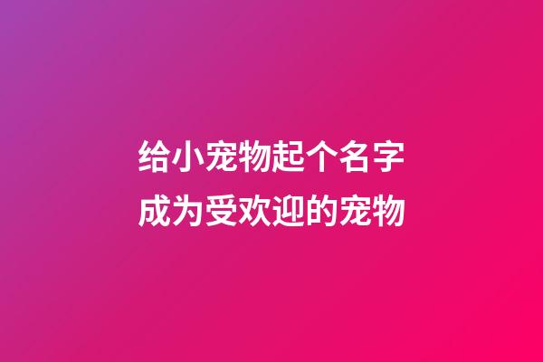 给小宠物起个名字成为受欢迎的宠物