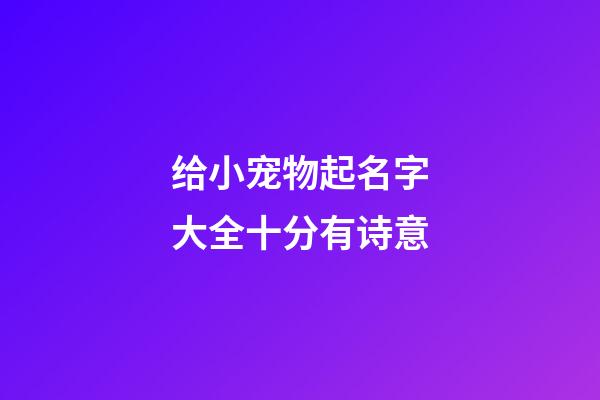 给小宠物起名字大全十分有诗意