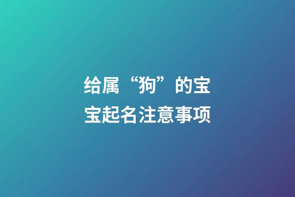 给属“狗”的宝宝起名注意事项