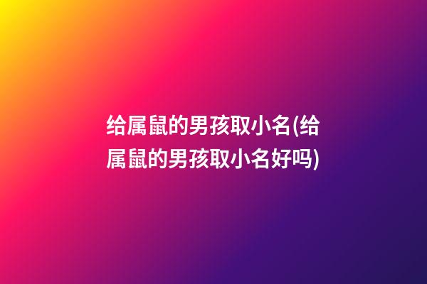 给属鼠的男孩取小名(给属鼠的男孩取小名好吗)