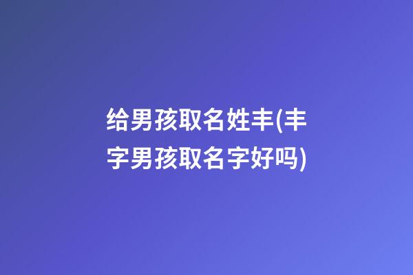 给男孩取名姓丰(丰字男孩取名字好吗)