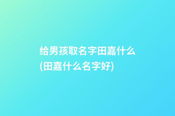 给男孩取名字田嘉什么(田嘉什么名字好)