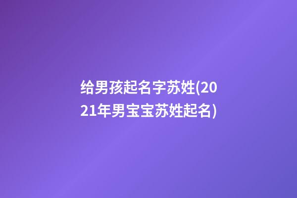 给男孩起名字苏姓(2021年男宝宝苏姓起名)