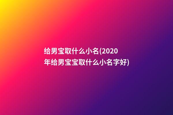 给男宝取什么小名(2020年给男宝宝取什么小名字好)