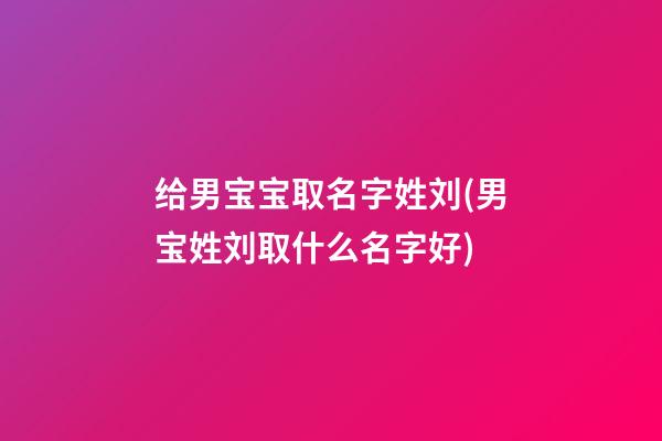 给男宝宝取名字姓刘(男宝姓刘取什么名字好)