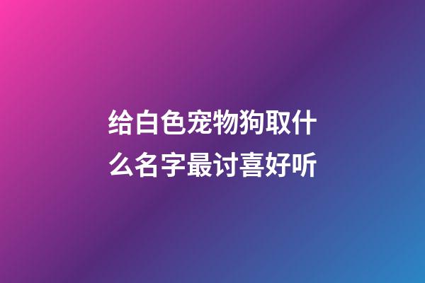 给白色宠物狗取什么名字最讨喜好听
