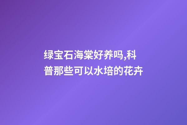 绿宝石海棠好养吗,科普那些可以水培的花卉-第1张-观点-玄机派