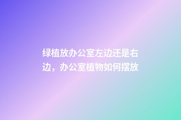 绿植放办公室左边还是右边，办公室植物如何摆放