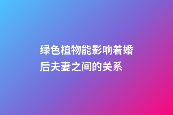 绿色植物能影响着婚后夫妻之间的关系