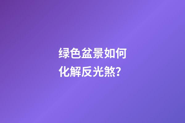 绿色盆景如何化解反光煞？