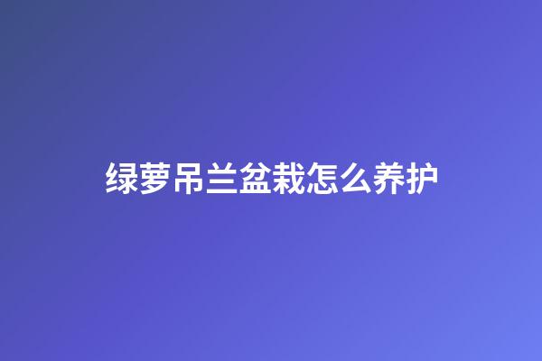 绿萝吊兰盆栽怎么养护