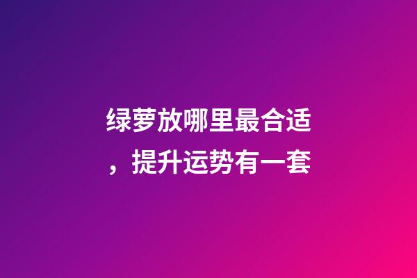 绿萝放哪里最合适，提升运势有一套