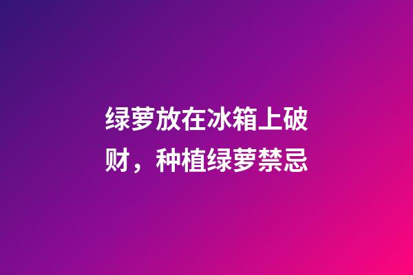绿萝放在冰箱上破财，种植绿萝禁忌