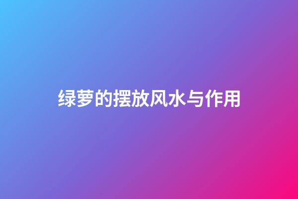 绿萝的摆放风水与作用