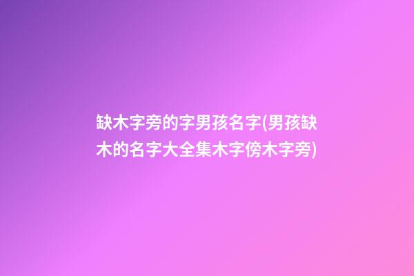 缺木字旁的字男孩名字(男孩缺木的名字大全集木字傍木字旁)
