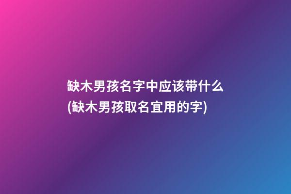 缺木男孩名字中应该带什么(缺木男孩取名宜用的字)