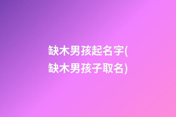 缺木男孩起名字(缺木男孩子取名)