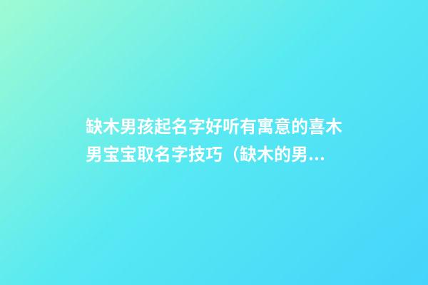 缺木男孩起名字好听有寓意的喜木男宝宝取名字技巧（缺木的男孩取什么名字好）