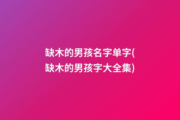 缺木的男孩名字单字(缺木的男孩字大全集)