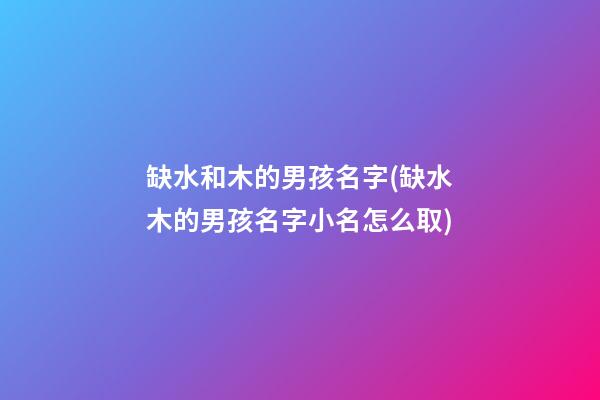 缺水和木的男孩名字(缺水木的男孩名字小名怎么取)
